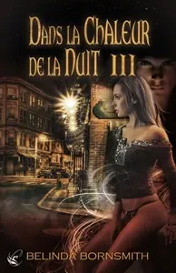 Dans la Chaleur de la Nuit T3